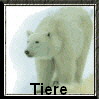 Tiere